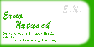 erno matusek business card